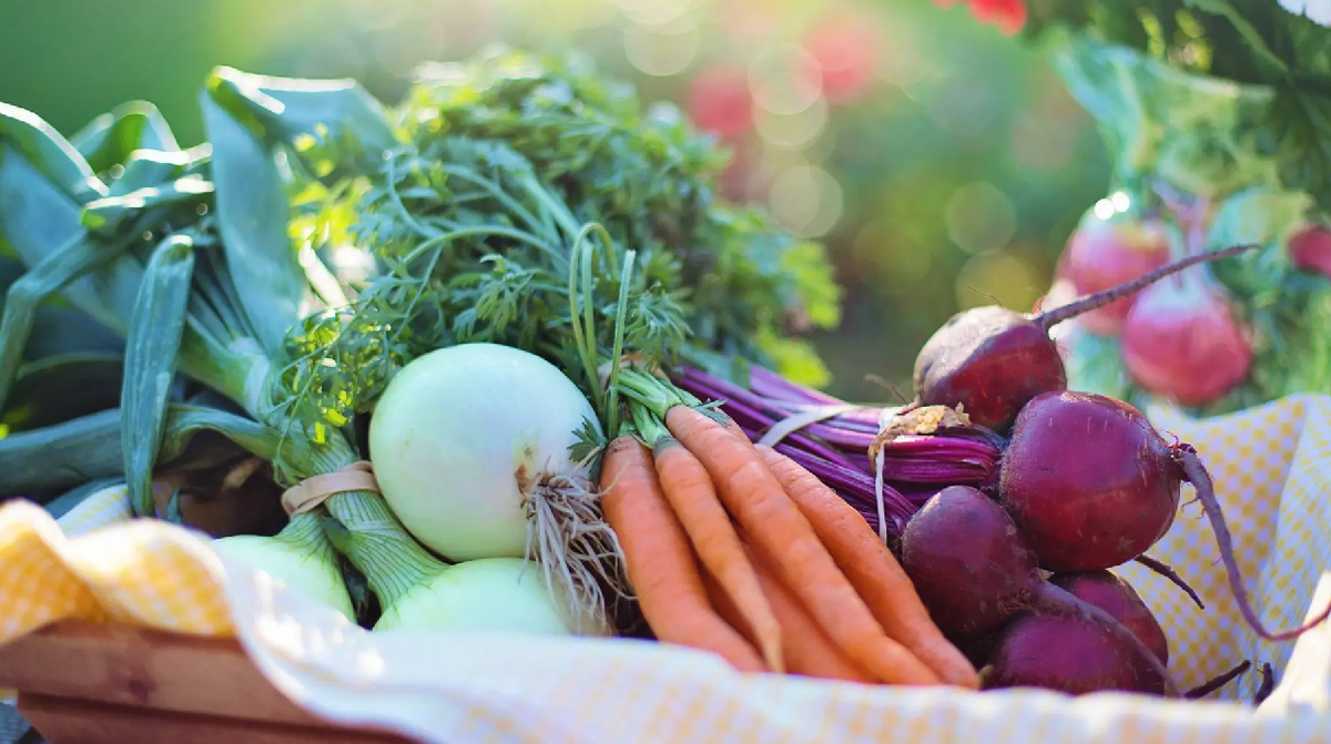 Lee más sobre el artículo Frutas y verduras de temporada en octubre