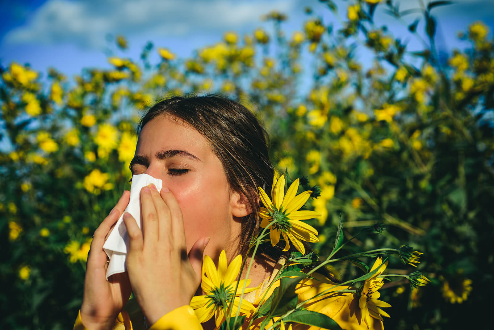 Lee más sobre el artículo 7 consejos para mejorar la calidad de vida de los alérgicos en primavera