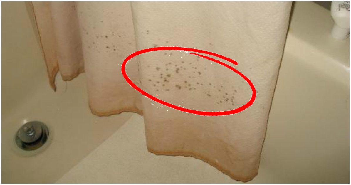 Lee más sobre el artículo El truco infalible para quitar los hongos de la cortina del baño