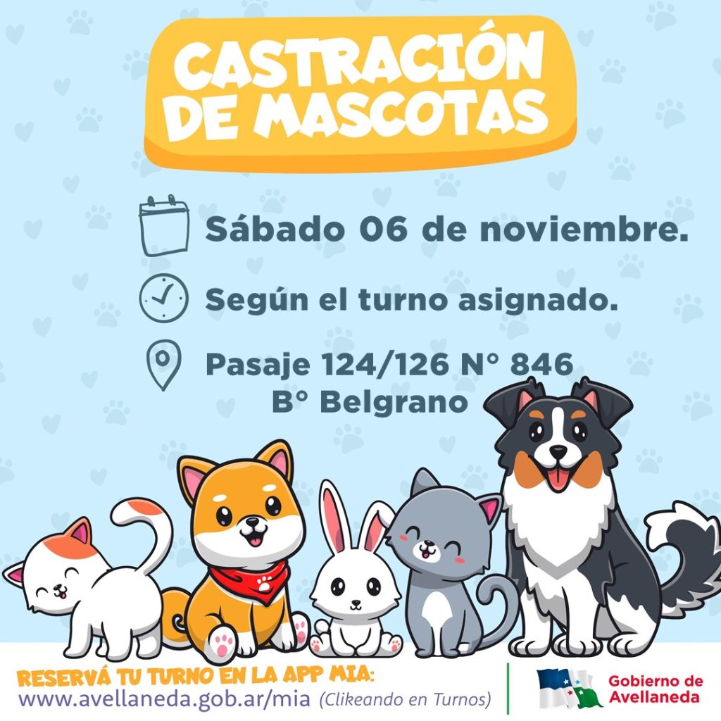 Lee más sobre el artículo Castraciones de Mascotas en B° Belgrano