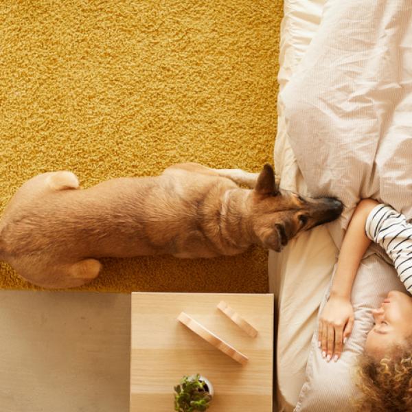 Lee más sobre el artículo Qué le pasa a tu perro cuando te mira mientras dormís