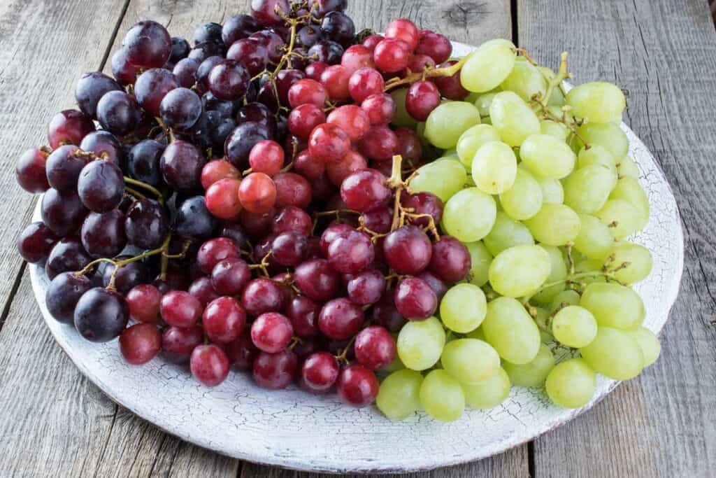 Lee más sobre el artículo Comer uvas modifica el microbioma y reduce los niveles de colesterol, según un estudio