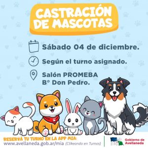 Lee más sobre el artículo Sacá turno on line para castrar a tus mascotas