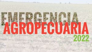 Lee más sobre el artículo Emergencia Agropecuaria