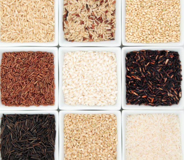 Lee más sobre el artículo Cuáles son los tipos de arroz y para qué elegirlos