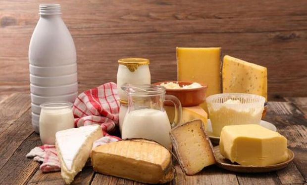 Lee más sobre el artículo Cuántas porciones de lácteos se recomiendan consumir a diario