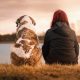 Por qué las mascotas pueden ser verdaderas aliadas contra la depresión