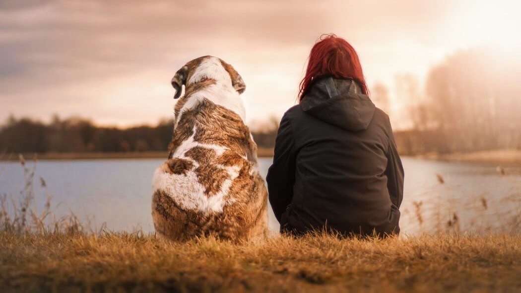 Lee más sobre el artículo Por qué las mascotas pueden ser verdaderas aliadas contra la depresión