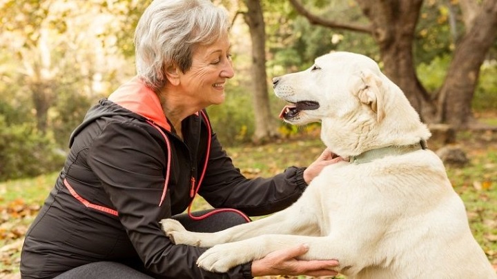Lee más sobre el artículo Tener un perro durante la vejez protege contra la discapacidad motora