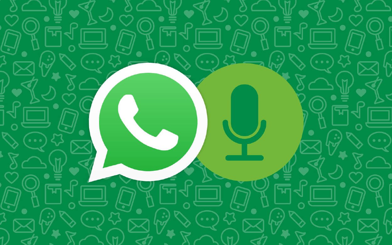 Lee más sobre el artículo WhatsApp: ¿Cómo quitar el audio a los videos en un simple paso?
