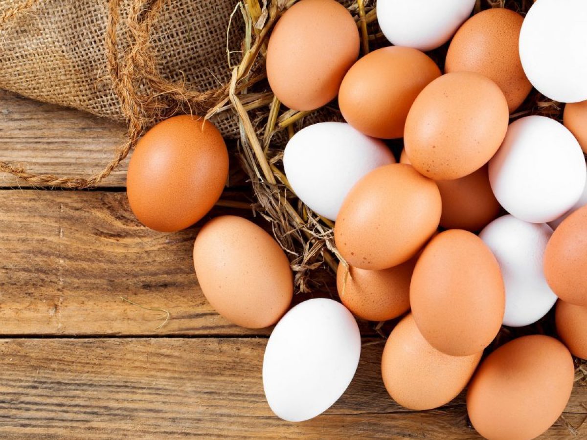 Lee más sobre el artículo El truco definitivo para saber si un huevo está fresco sin abrirlo
