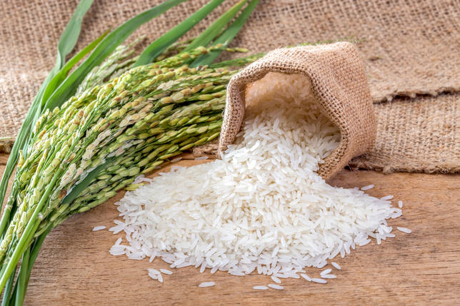 Lee más sobre el artículo El sorprenderte uso que tiene el arroz crudo en las plantas