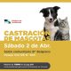 Castración de mascotas en Avellaneda: Este sábado, tendrá lugar en B° Belgrano