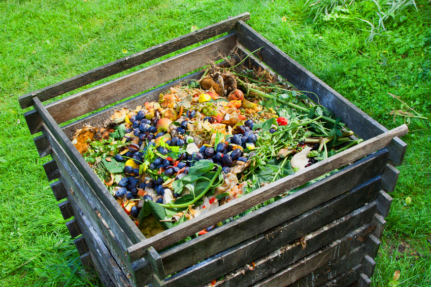 Lee más sobre el artículo Paso a paso, cómo hacer compost en casa