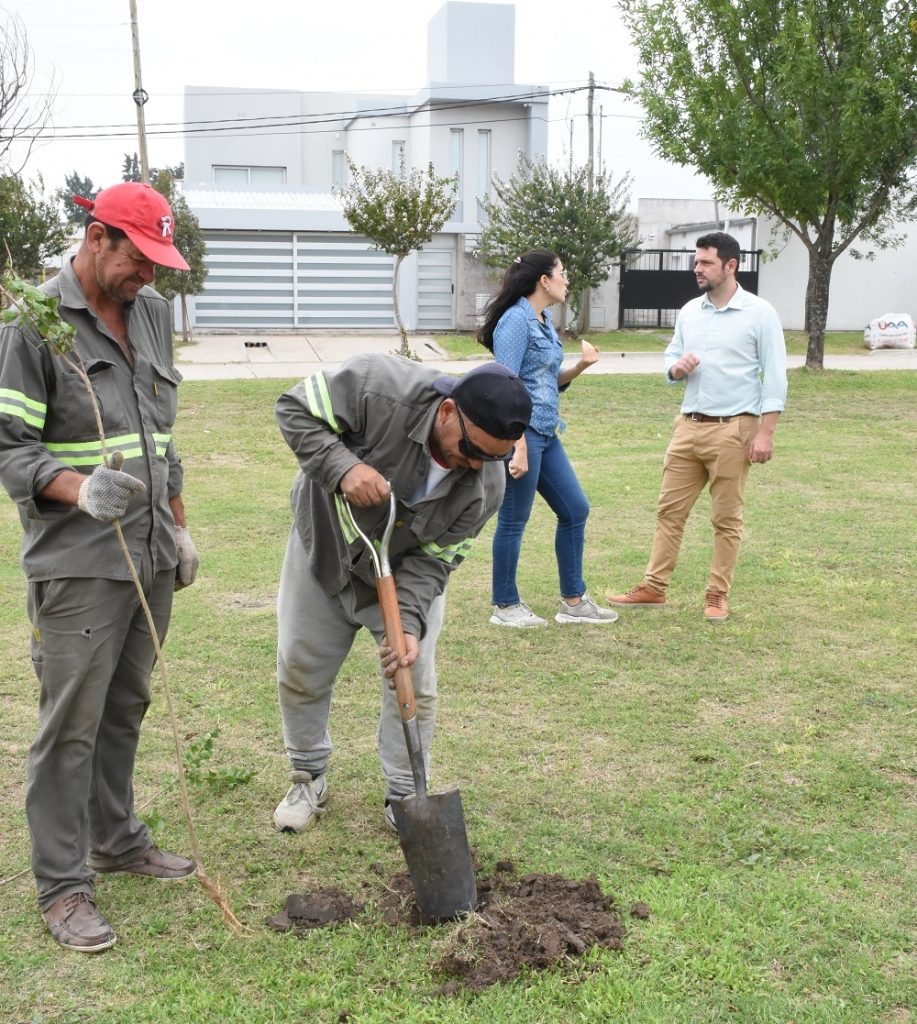 Lee más sobre el artículo Plantación de árboles en Avellaneda: Un desafío que optimiza la política de espacios verdes