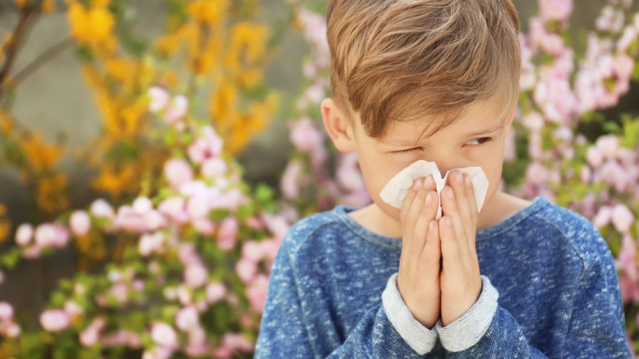 Lee más sobre el artículo Rinitis alérgica: cuáles son los síntomas y por qué es más frecuente en otoño