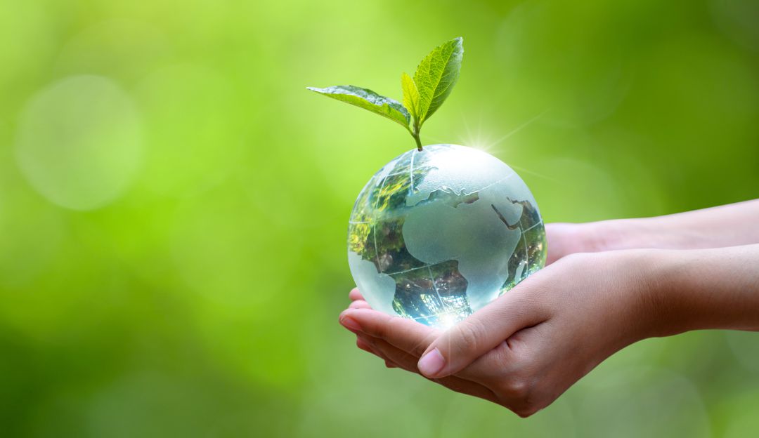 Lee más sobre el artículo Día de la Tierra: por qué se celebra hoy, 22 de abril