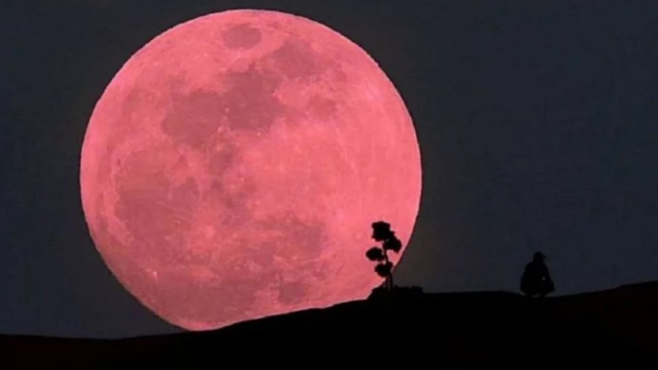 Lee más sobre el artículo Luna rosa y lluvia de estrellas en abril 2022
