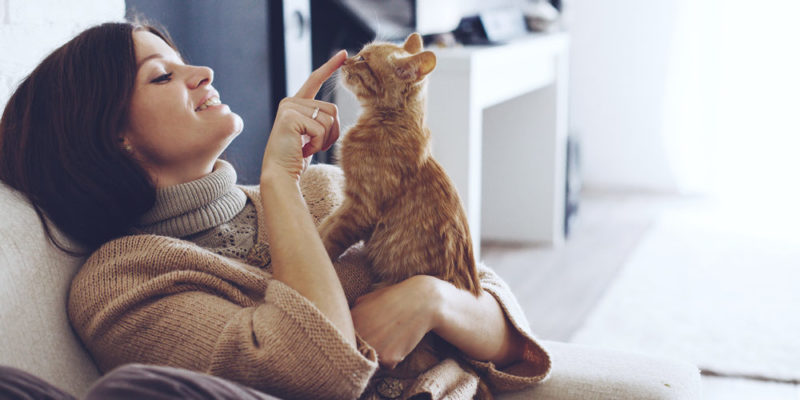Lee más sobre el artículo Los gatos domésticos saben los nombres de sus familiares humanos, advirtió un estudio