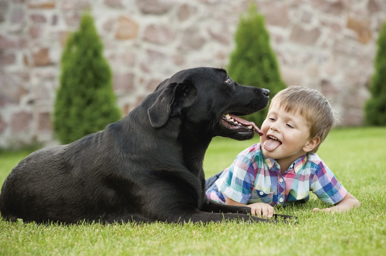 Lee más sobre el artículo Por qué los perros generan un efecto positivo en el desarrollo de los niños