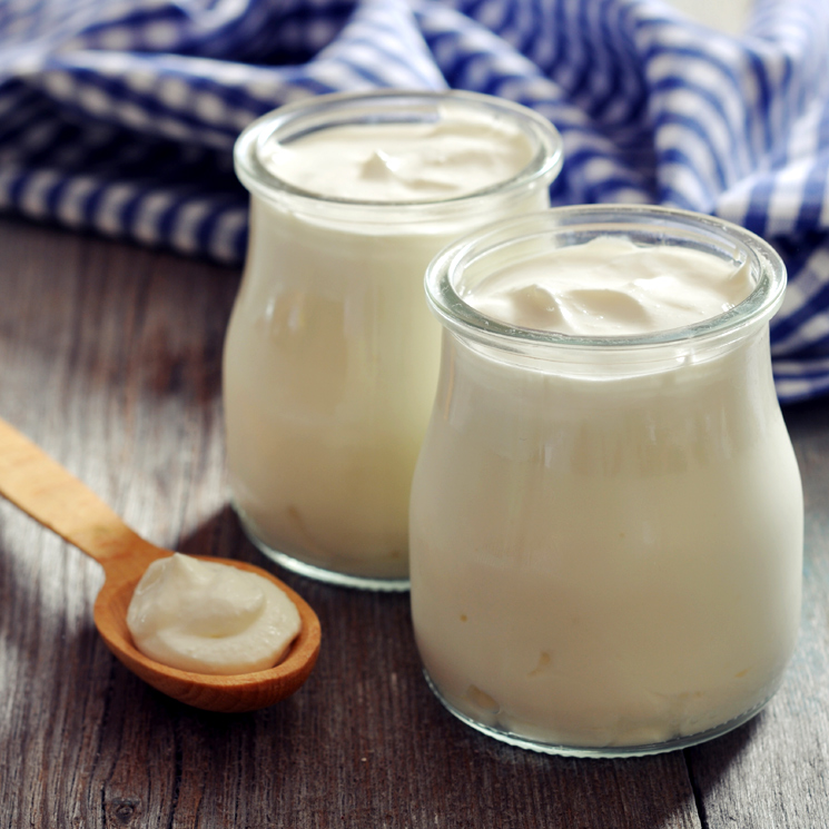 Lee más sobre el artículo Yogur: por qué los fermentos y probióticos son grandes aliados de la salud