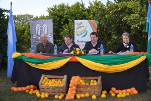 Lee más sobre el artículo Se empieza a palpitar la Fiesta del Citrus