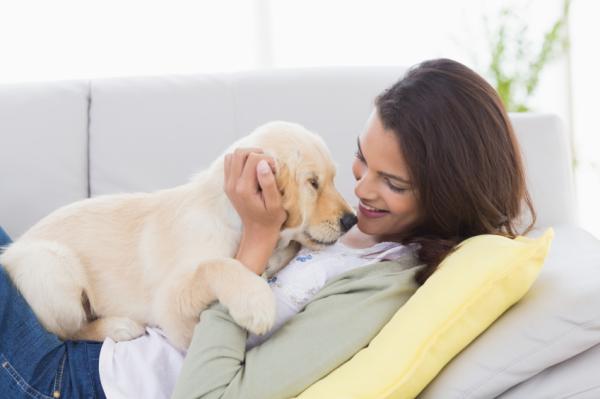 Como comunicarte y acercarte a tu perro