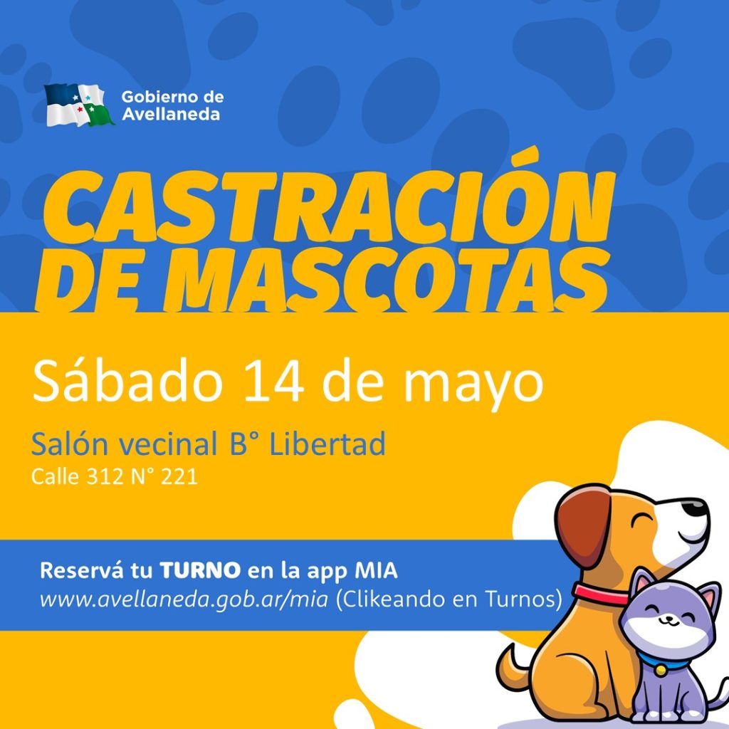 Castración de mascotas en Avellaneda: ya se habilitaron los turnos on line