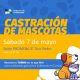 Mascotas: se encuentran habilitados los turnos para castración en Avellaneda