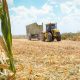 Emergencia agropecuaria: Hasta el 20 de mayo podrán gestionarse créditos productivos