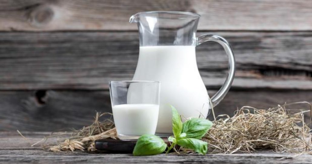 Día Mundial de la Leche: solo uno de cada 10 argentinos consume la cantidad sugerida de lácteos