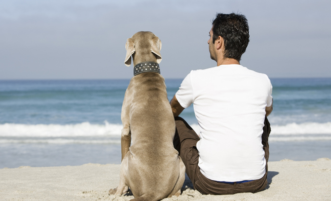 Lee más sobre el artículo Se conocieron las razones por las que el perro es el mejor amigo del hombre