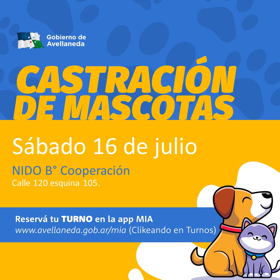 Lee más sobre el artículo Castración de mascotas en Avellaneda: Será el sábado en B° Cooperación
