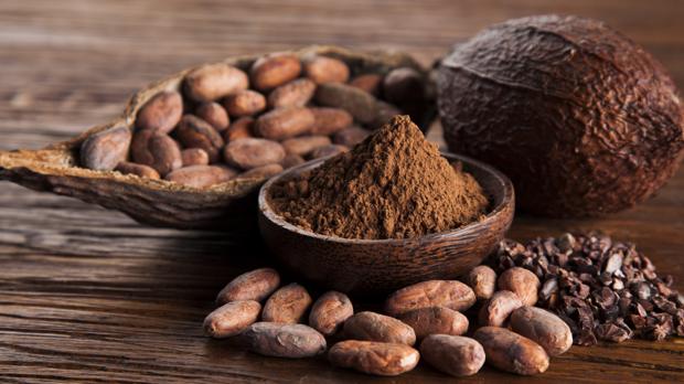 Lee más sobre el artículo Día Mundial del Cacao, ¿cuáles son los beneficios de este fruto?