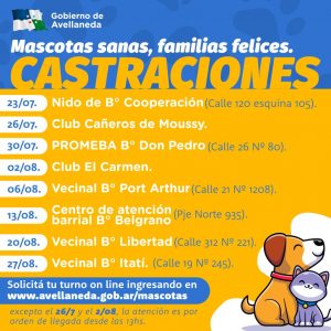 Lee más sobre el artículo Hoy, castración de mascotas en Moussy