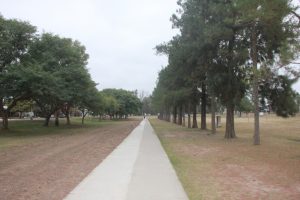 Lee más sobre el artículo Se solicita no circular en vehículos motorizados por senderos peatonales de Parque Sur