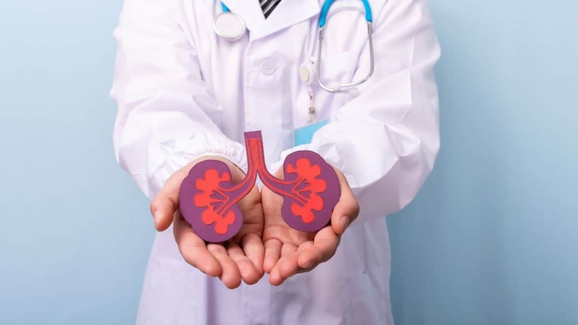 Lee más sobre el artículo Un órgano con muchas funciones: consejos para mantener los riñones sanos