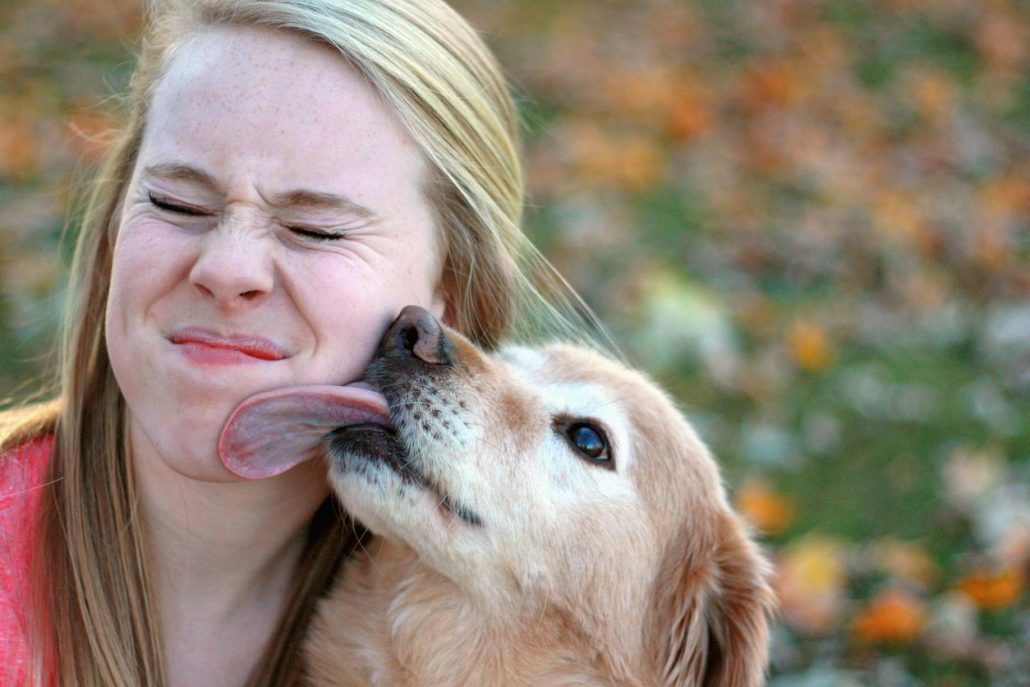 Los perros dan besos a su manera