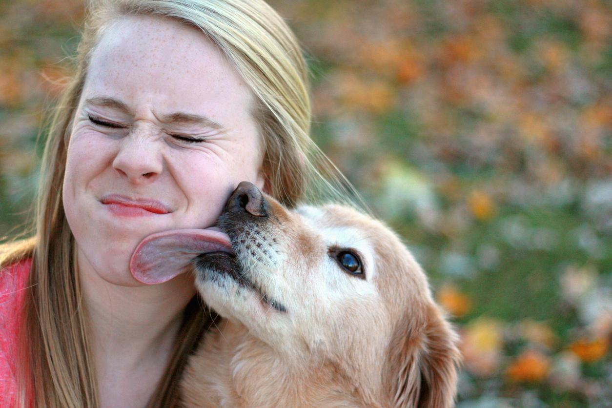 Lee más sobre el artículo Los perros dan besos a su manera