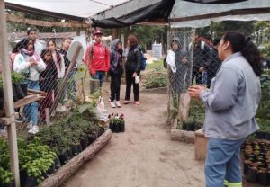 Lee más sobre el artículo Vivero Municipal: «Paseo Guiado»