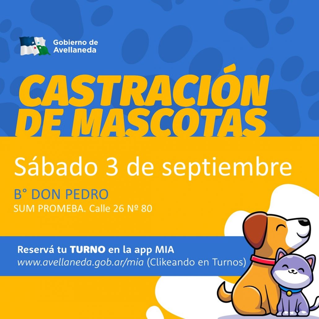 Castración de mascotas en Avellaneda: Gestioná turnos on line