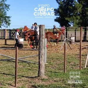 Lee más sobre el artículo 3° Expo del “Campo & Ciudad”