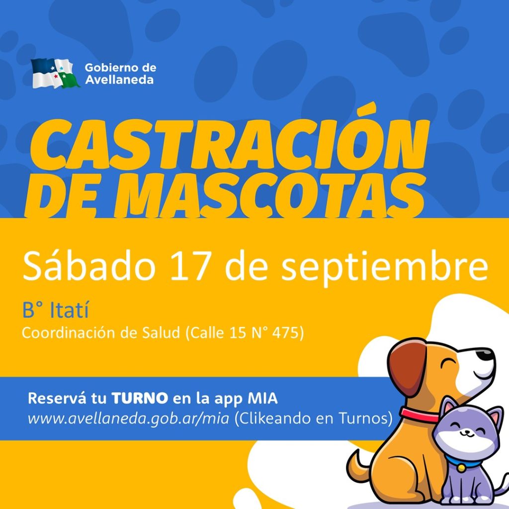 Castración de mascotas en Avellaneda: este sábado se realizará en B° Itatí