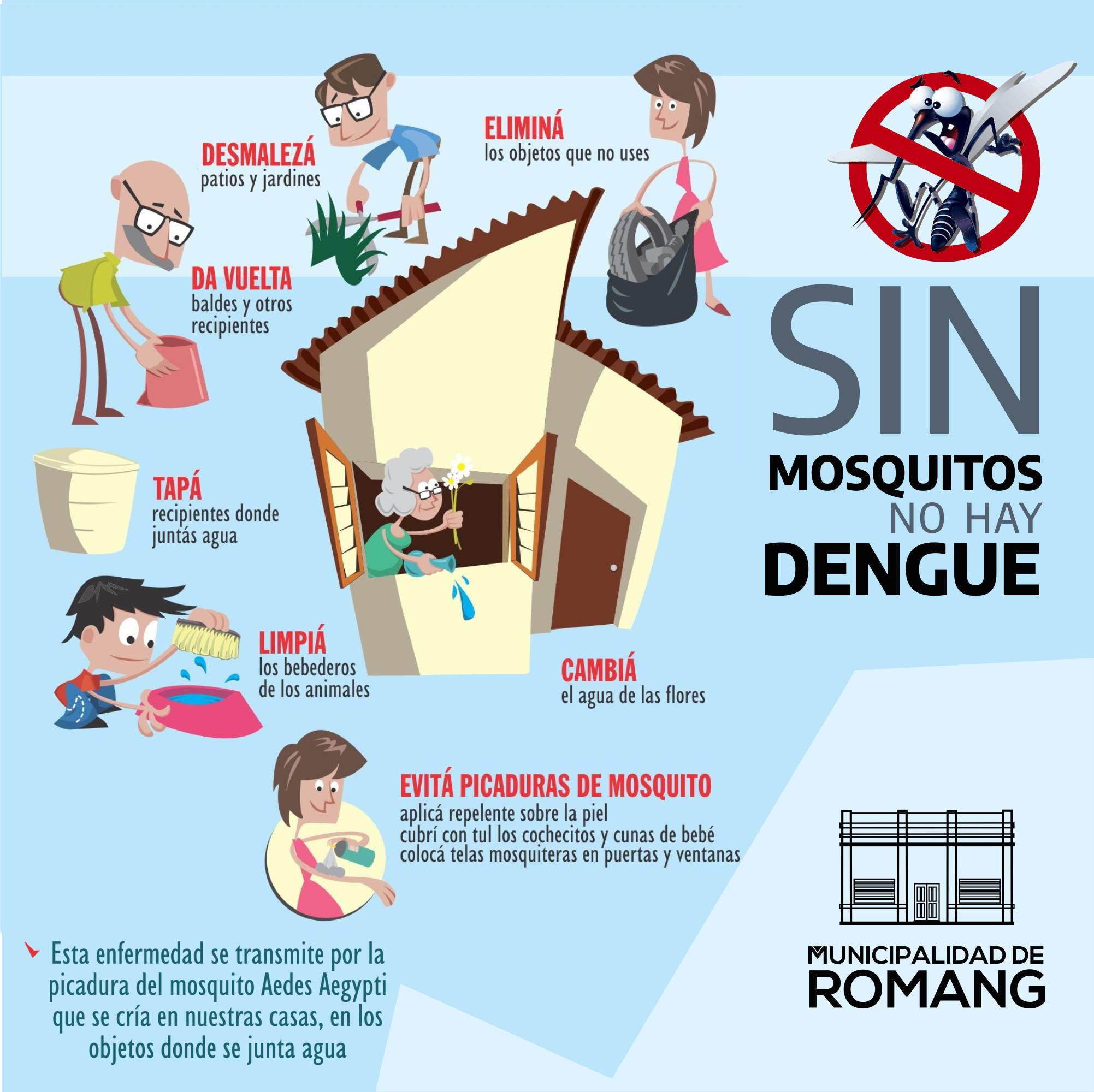 Lee más sobre el artículo Sin mosquitos, no hay Dengue