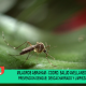 Prevención Dengue: descacharrado y limpieza