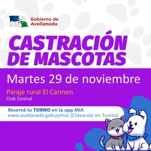 Lee más sobre el artículo Avellaneda: habrá castraciones este martes en el Paraje El Carmen