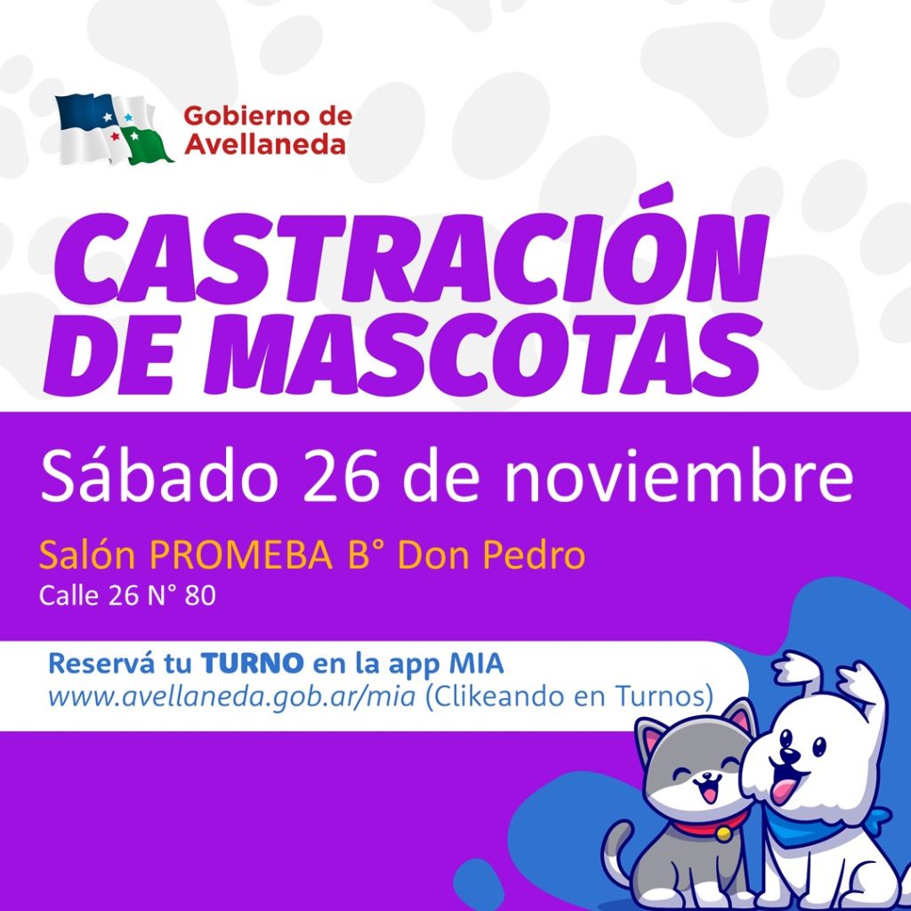Castración de mascotas en Avellaneda: Turnos on line habilitados para este sábado