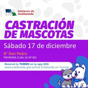 Lee más sobre el artículo Mascotas en Avellaneda: Habrá castraciones en B° Don Pedro