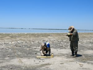 Lee más sobre el artículo La provincia informó resultado de estudios sobre la mortandad de peces en la laguna del Plata