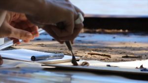 Lee más sobre el artículo La Región Te Ve: Reiterar desde el arte –valorar la naturaleza